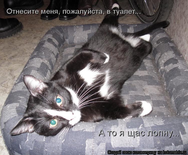 Котоматрица: Отнесите меня, пожалуйста, в туалет... А то я щас лопну... Отнесите меня, пожалуйста, в туалет... А то я щас лопну...