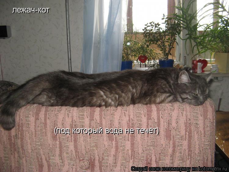 Котоматрица: лежач-кот (под который вода не течёт)