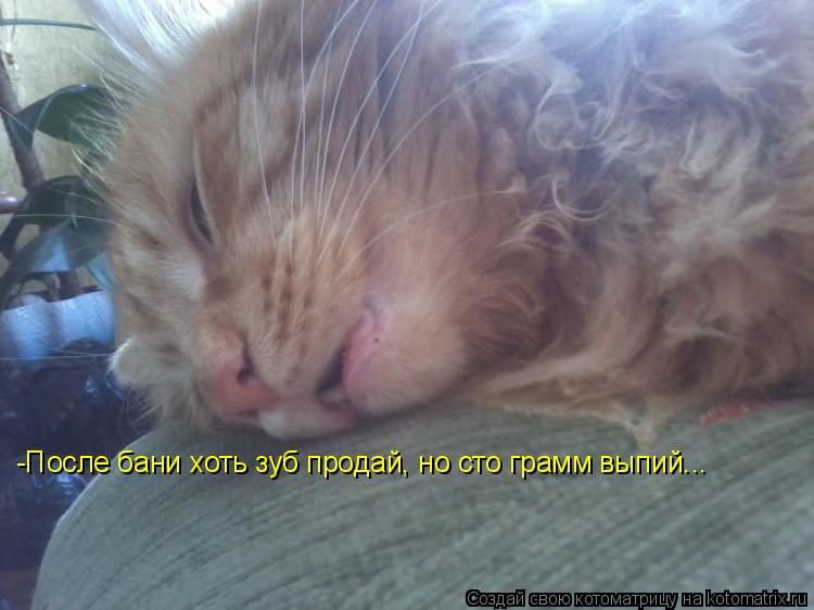 Котоматрица: -После бани хоть зуб продай, но сто грамм выпий...