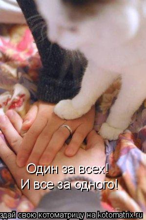 Котоматрица: Один за всех! И все за одного!