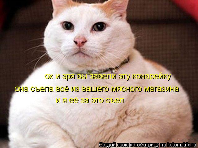 Котоматрица: ох и зря вы завели эту конарейку она съела всё из вашего мясного магазина и я её за это съел