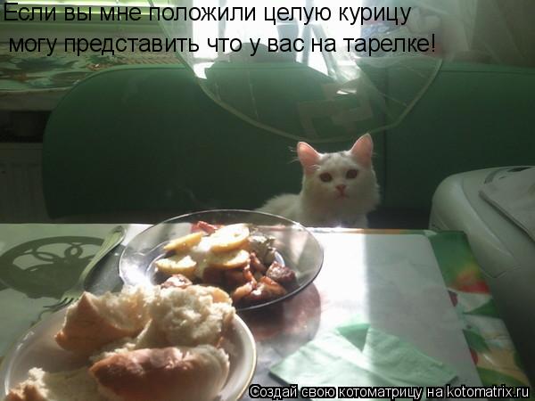Котоматрица: Если вы мне положили целую курицу могу представить что у вас на тарелке!