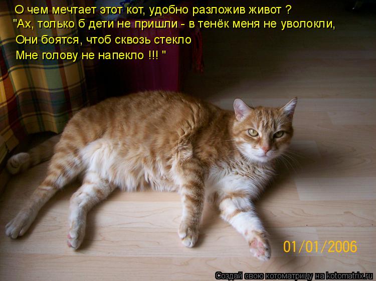 О чем мечтает этот кот, О чем мечтает этот кот, удобно разложив живот ? "Ах, только б дети не пришли ... Котоматрица: О чем мечтает этот кот, О чем мечтает этот кот, удобно разложив живот ? "Ах, только б дети не пришли - в тенёк меня не уволокли, Они боятся, чтоб
