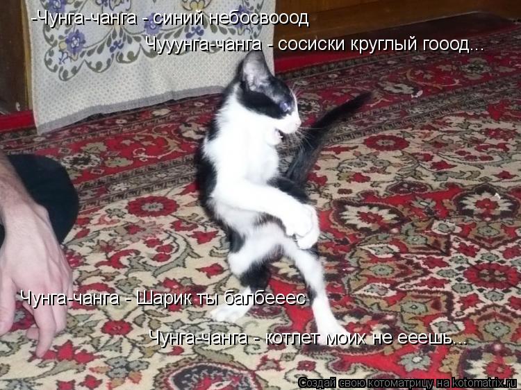 -Чунга-чанга - синий небосвооод Чууунга-чанга - сосиски круглый гооод... Чунга-чанга - Шарик ты балбе... Котоматрица: -Чунга-чанга - синий небосвооод Чууунга-чанга - сосиски круглый гооод... Чунга-чанга - Шарик ты балбееес Чунга-чанга - котлет моих не ееешь...