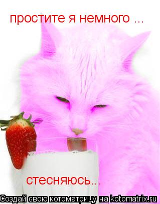 Котоматрица: простите я немного ... стесняюсь...