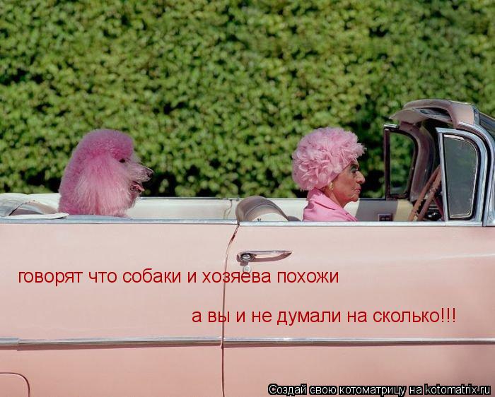 говорят что собаки и хозяева похожи а вы и не думали на сколько!!!... Котоматрица: говорят что собаки и хозяева похожи а вы и не думали на сколько!!!