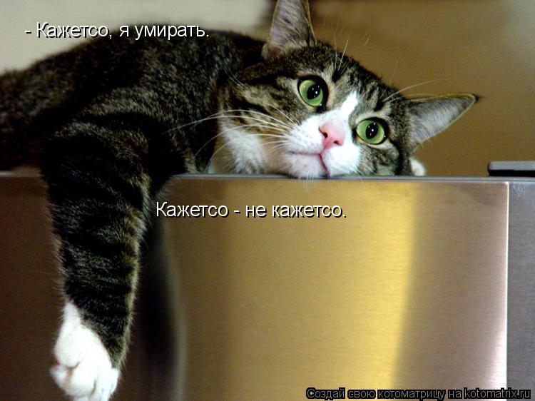 - Кажетсо, я умирать. Кажетсо - не кажетсо.... Котоматрица: - Кажетсо, я умирать. Кажетсо - не кажетсо.