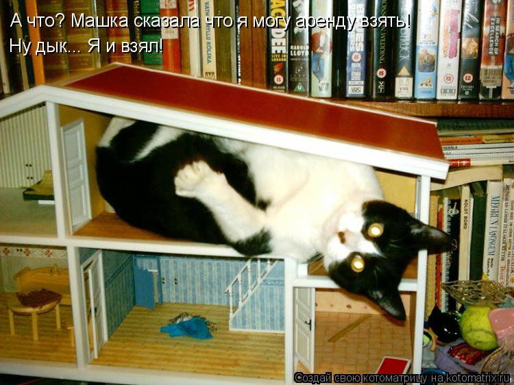 А что? Машка сказала что я могу аренду взять! Ну дык... Я и взял!... Котоматрица: А что? Машка сказала что я могу аренду взять! Ну дык... Я и взял!