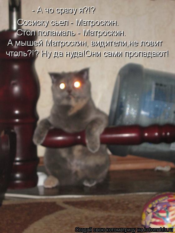 Котоматрица: - А чо сразу я?!? Сосиску сьел - Матроскин. Стол поламаль - Матроскин. А мышей Матроскин, видители,не ловит  чтоль?!? Ну да нуда!Они сами пропадаю