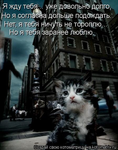 Я жду тебя... уже довольно долго, Но я согласна дольше подождать. Нет, я тебя ничуть не тороплю... ... Котоматрица: Я жду тебя... уже довольно долго, Но я согласна дольше подождать. Нет, я тебя ничуть не тороплю... Но я тебя заранее люблю…