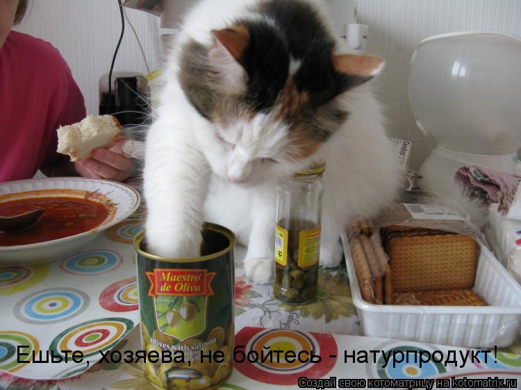 Ешьте, хозяева, не бойтесь - натурпродукт!... Котоматрица: Ешьте, хозяева, не бойтесь - натурпродукт!