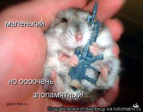 Котоматрица: маленький но оооочень злопамятный!..