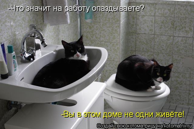 -Что значит на работу опаздываете? -Вы в этом доме не одни живёте!... Котоматрица: -Что значит на работу опаздываете? -Вы в этом доме не одни живёте!