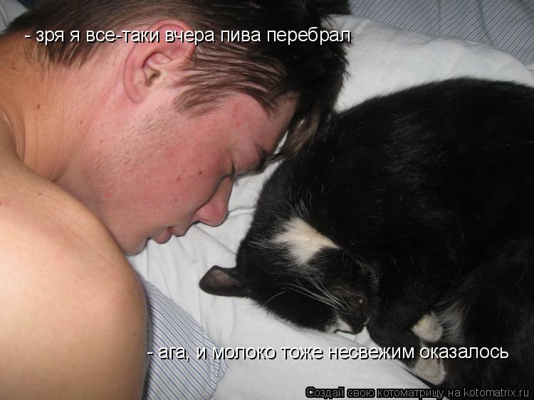 Котоматрица: - зря я все-таки вчера пива перебрал - ага, и молоко тоже несвежим оказалось
