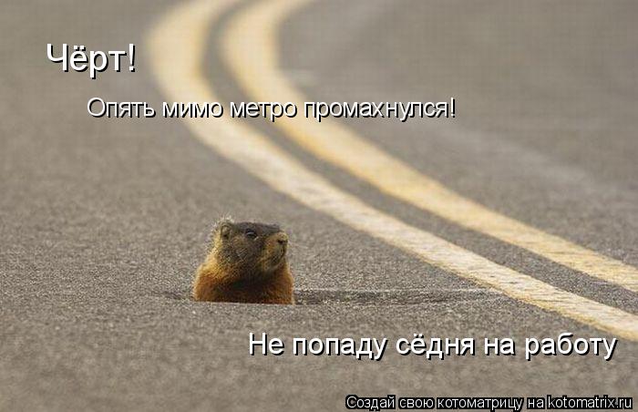 Чёрт! Опять мимо метро промахнулся! Не попаду сёдня на работу... Котоматрица: Чёрт! Опять мимо метро промахнулся! Не попаду сёдня на работу
