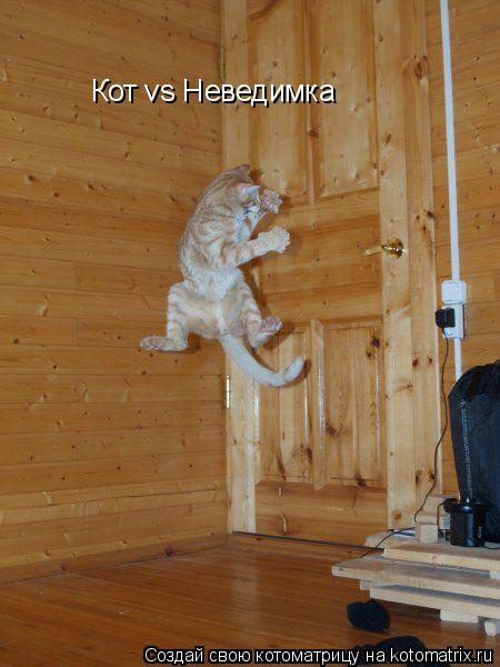 Кот vs Неведимка... Котоматрица: Кот vs Неведимка