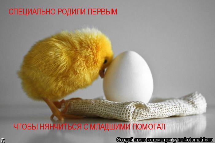 СПЕЦИАЛЬНО РОДИЛИ ПЕРВЫМ ЧТОБЫ НЯНЧИТЬСЯ С МЛАДШИМИ ПОМОГАЛ... Котоматрица: СПЕЦИАЛЬНО РОДИЛИ ПЕРВЫМ ЧТОБЫ НЯНЧИТЬСЯ С МЛАДШИМИ ПОМОГАЛ