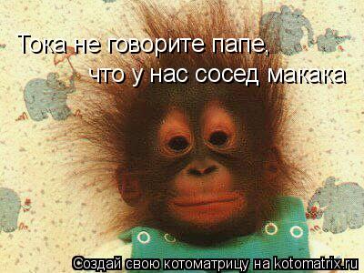 Котоматрица: Тока не говорите папе,  что у нас сосед макака