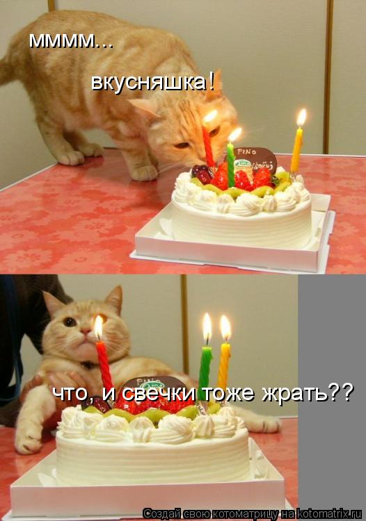 мммм... вкусняшка! что, и свечки тоже жрать??... Котоматрица: мммм... вкусняшка! что, и свечки тоже жрать??