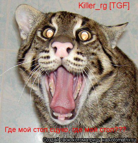 Котоматрица: Killer_rg [TGF] Где мой стол сцуко, где мой стол???