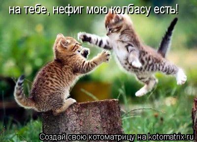 Котоматрица: на тебе, нефиг мою колбасу есть!