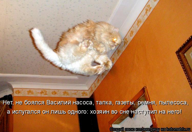 Котоматрица: Нет, не боялся Василий насоса, тапка, газеты, ремня, пылесоса,  а испугался он лишь одного: хозяин во сне наступил на него!
