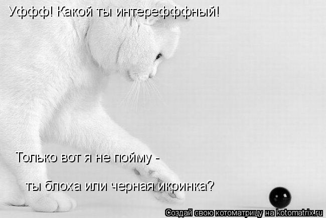 Котоматрица: Уффф! Какой ты интерефффный! Только вот я не пойму -  ты блоха или черная икринка?