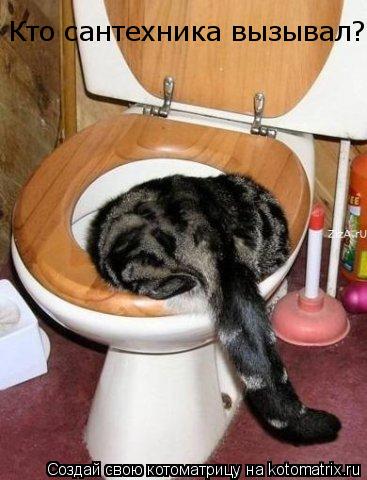 Котоматрица: Кто сантехника вызывал?
