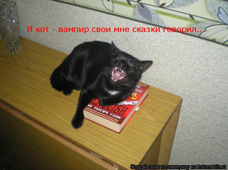 Котоматрица: И кот - вампир свои мне сказки говорил...