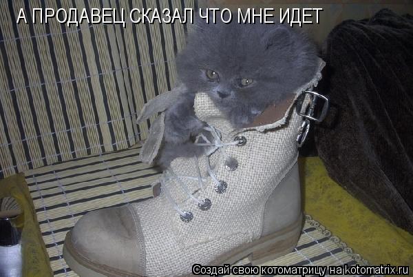 Котоматрица: А ПРОДАВЕЦ СКАЗАЛ ЧТО МНЕ ИДЕТ