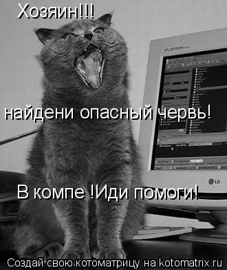 Котоматрица: Хозяин!!! найдени опасный червь! В компе !Иди помоги!