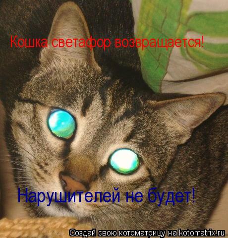 Котоматрица: Кошка светафор возвращается! Нарушителей не будет!