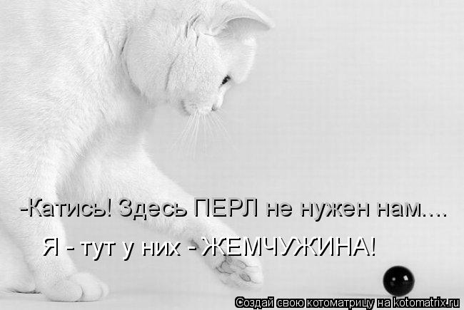 -Катись! Здесь ПЕРЛ не нужен нам.... Я - тут у них - ЖЕМЧУЖИНА!... Котоматрица: -Катись! Здесь ПЕРЛ не нужен нам.... Я - тут у них - ЖЕМЧУЖИНА!