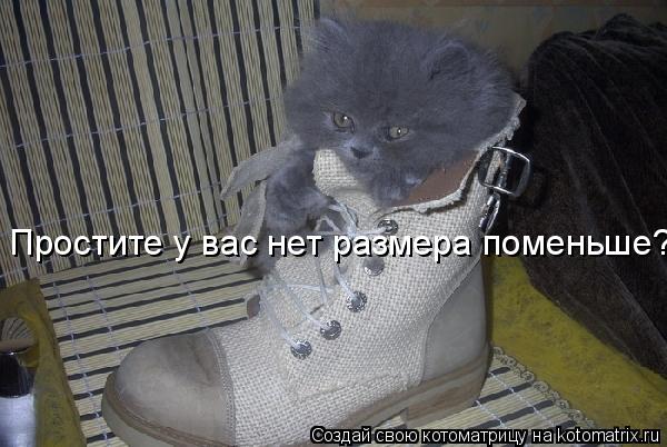 Котоматрица: Простите у вас нет размера поменьше?