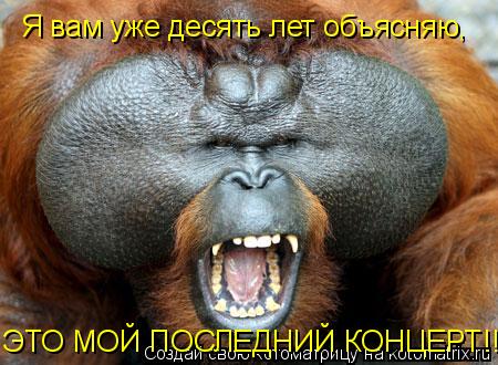 Котоматрица: Я вам уже десять лет объясняю, ЭТО МОЙ ПОСЛЕДНИЙ КОНЦЕРТ!!!
