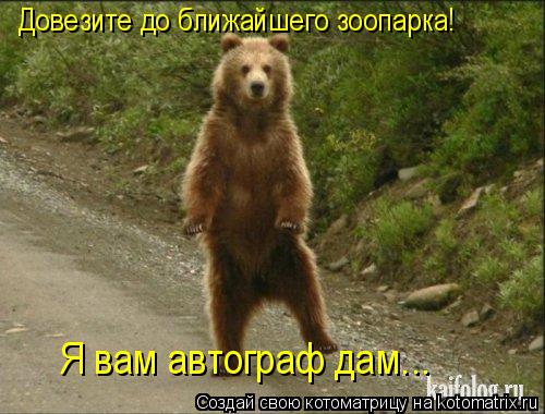 Котоматрица: Довезите до ближайшего зоопарка! Я вам автограф дам...