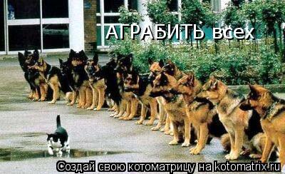 Котоматрица: АГРАБИТЬ всех
