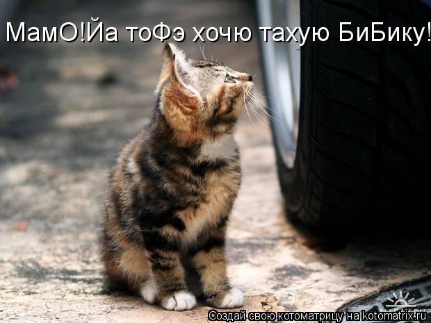 Котоматрица: МамО!Йа тоФэ хочю тахую БиБику!