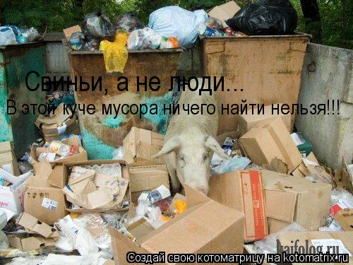 Котоматрица: Свиньи, а не люди... В этой куче мусора ничего найти нельзя!!!