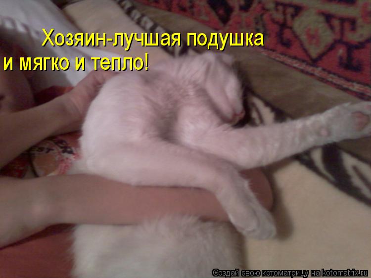 Котоматрица: Хозяин-лучшая подушка и мягко и тепло!