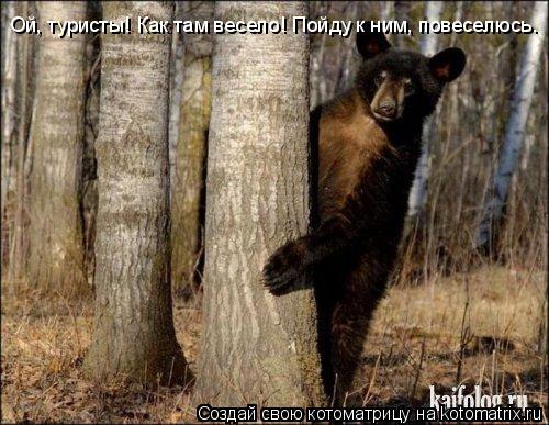Котоматрица: Ой, туристы! Как там весело! Пойду к ним, повеселюсь.