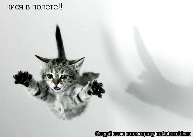 Котоматрица: кися в полете!!