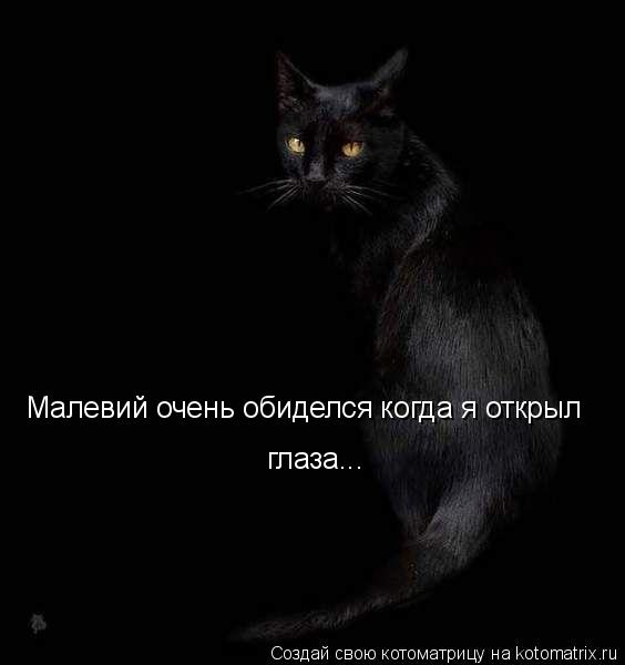 Котоматрица: Малевий очень обиделся когда я открыл глаза...