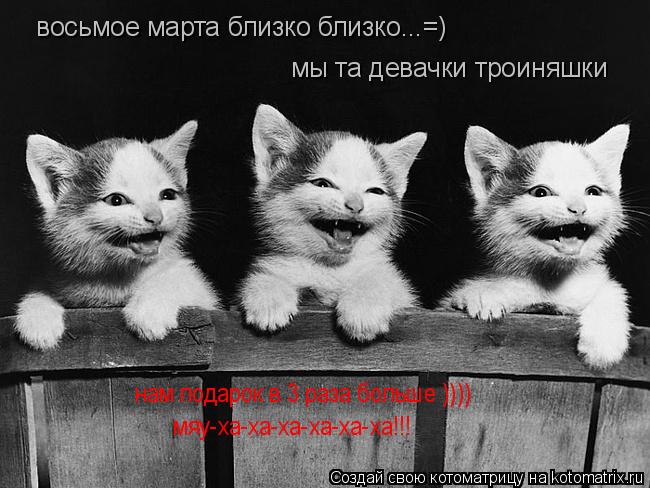 Котоматрица: восьмое марта близко близко...=) мы та девачки троиняшки  нам подарок в 3 раза больше )))) мяу-ха-ха-ха-ха-ха-ха!!!