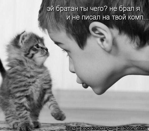 Котоматрица: эй братан ты чего? не брал я   и не писал на твой комп.....
