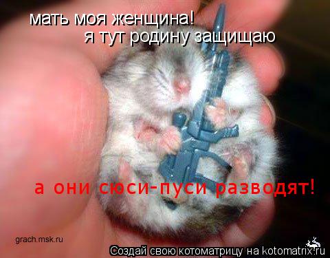 Котоматрица: мать моя женщина!  я тут родину защищаю  я тут родину защищаю мать моя женщина!  а они сюси-пуси разводят!