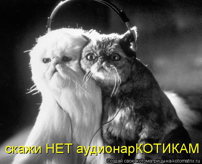 Котоматрица: скажи НЕТ аудионарКОТИКАМ
