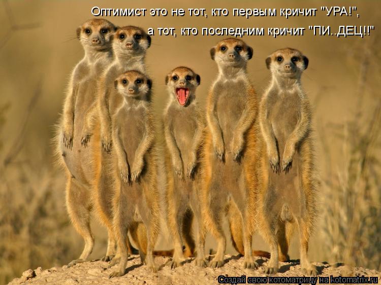 Котоматрица: Оптимист это не тот, кто первым кричит "УРА!", а тот, кто последним кричит "ПИ..ДЕЦ!!"