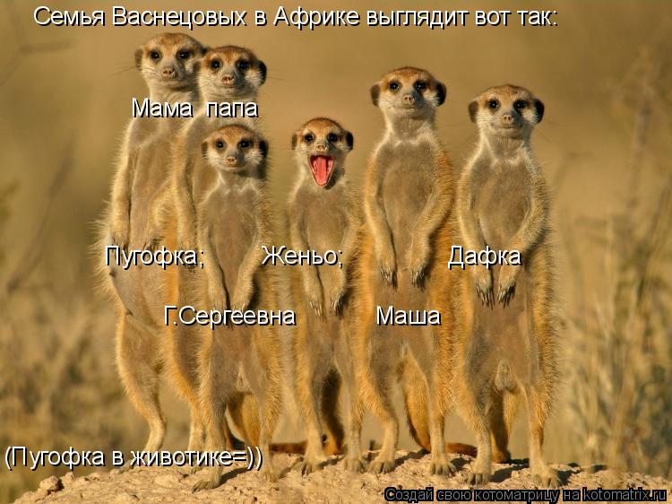 Котоматрица: Семья Васнецовых в Африке выглядит вот так: Мама  папа (Пугофка в животике=)) Пугофка;         Женьо;                Дафка Г.Сергеевна            Маша