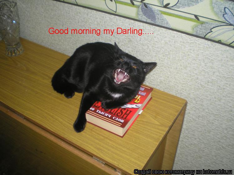 Котоматрица: Good morning my Darling.....